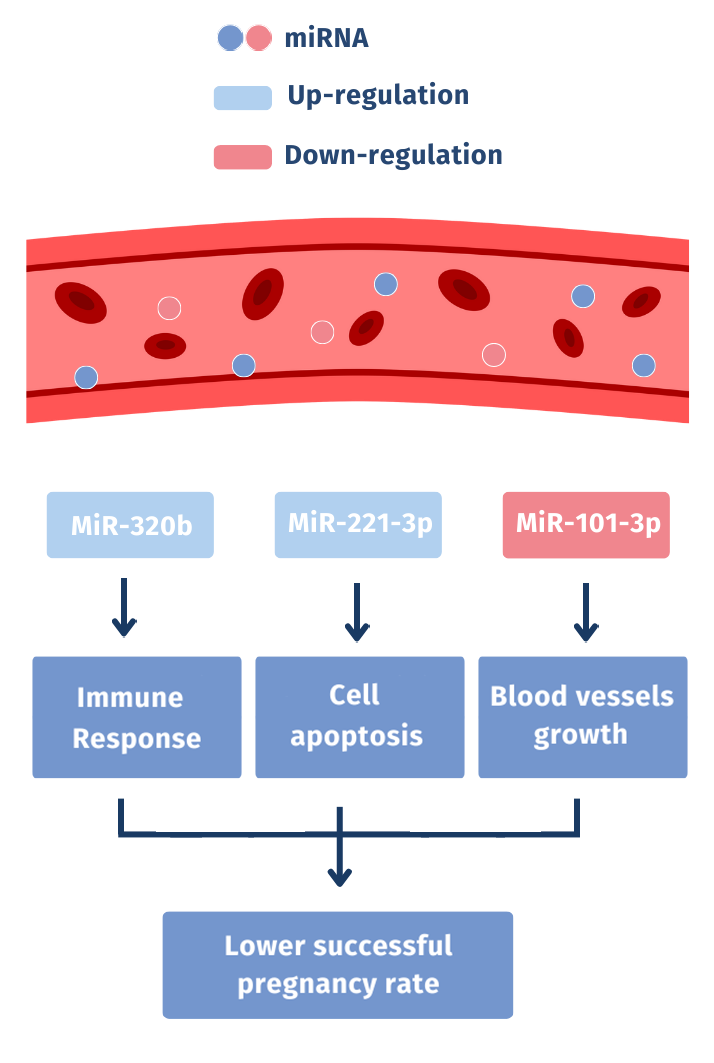 MiRNA Regulation